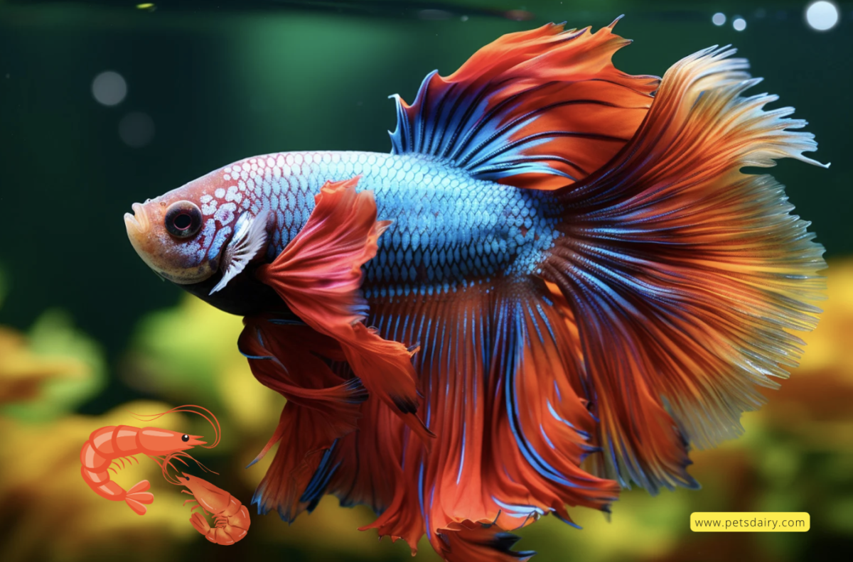 best tank mates for betta fish: a beginner's guide